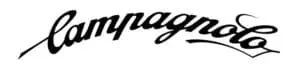 Campagnolo wheel decals